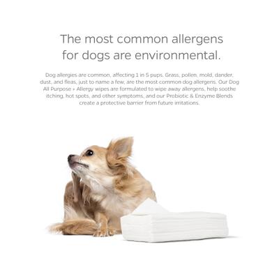 Show full view: Pet Parents Pet WiPees All Purpose Allergy Dog Wipes, Natural Scent, 100 count slide 3 of 9