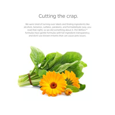 Show full view: Pet Parents Pet WiPees All Purpose Skin & Coat Dog Wipes, Natural Scent, 100 count slide 3 of 8