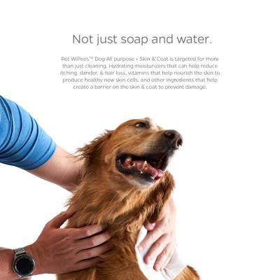 Show full view: Pet Parents Pet WiPees All Purpose Skin & Coat Dog Wipes, Natural Scent, 100 count slide 8 of 8
