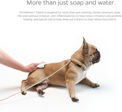 Pet Parents Pet WiPees Natural Scent Cat & Dog Gland Grooming Wipes, 100 count slide 2 of 8