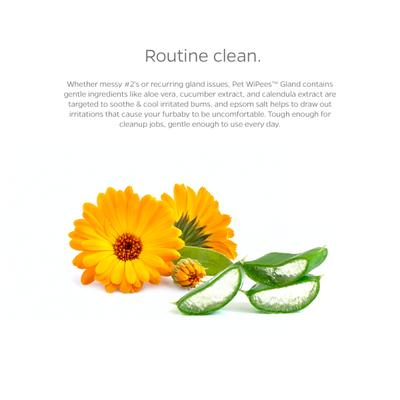 Show full view: Pet Parents Pet WiPees Natural Scent Cat & Dog Gland Grooming Wipes, 100 count slide 4 of 10