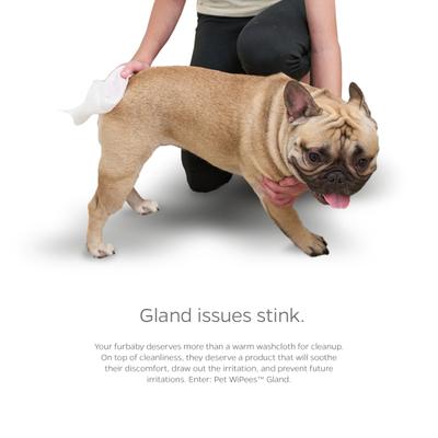 Show full view: Pet Parents Pet WiPees Natural Scent Cat & Dog Gland Grooming Wipes, 100 count slide 7 of 10