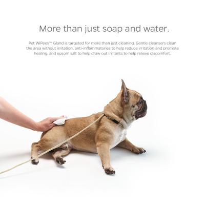 Show full view: Pet Parents Pet WiPees Natural Scent Cat & Dog Gland Grooming Wipes, 200 count slide 3 of 10