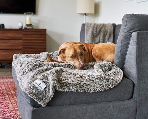 Show full view: Pet Parents Premium Cat, Puppy & Dog Blanket, Chocolate, Large slide 7 of 11