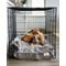 Show in main carousel: Pet Parents Premium Cat, Puppy & Dog Blanket, Chocolate, Medium slide 8 of 12