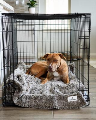 Show full view: Pet Parents Premium Cat, Puppy & Dog Blanket, Chocolate, Medium slide 8 of 12