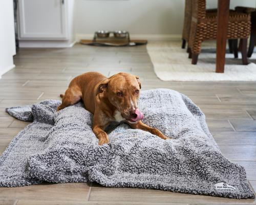 Show full view: Pet Parents Premium Cat, Puppy & Dog Blanket, Slate, Large slide 8 of 12