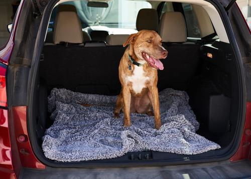 Show full view: Pet Parents Premium Cat, Puppy & Dog Blanket, Slate, Large slide 9 of 12