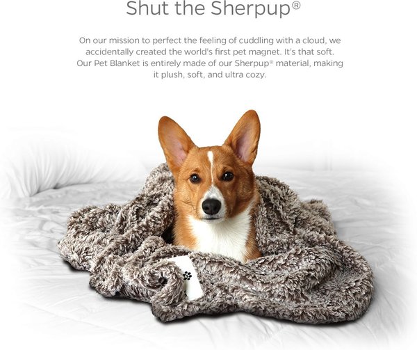 Show full view: Pet Parents Premium Cat, Puppy & Dog Blanket, Slate, Medium slide 2 of 11