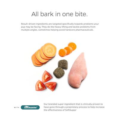 Show full view: Pet Parents Stress & Anxiety Calming Chicken Flavored Dog Supplement, 90 count slide 3 of 11