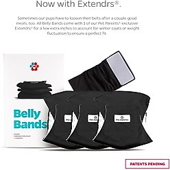 Pet Parents Washable Belly Band Male Dog Diapers, Dog Wraps & Extendrs, Black, X-Large: 25 to 34-in waist, 3 count slide 2 of 8