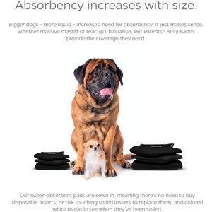 Pet Parents Washable Belly Band Male Dog Diapers, Dog Wraps & Extendrs, Black, X-Large: 25 to 34-in waist, 3 count