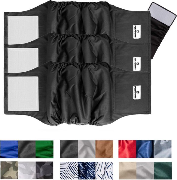 Show full view: Pet Parents Washable Belly Band Male Dog Diapers, Dog Wraps & Extendrs, Black, X-Small: 11 to 13-in waist, 3 count slide 1 of 10