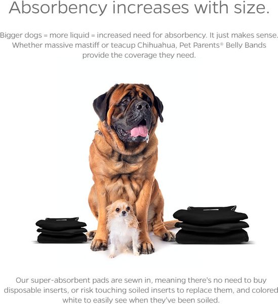 Show full view: Pet Parents Washable Belly Band Male Dog Diapers, Dog Wraps & Extendrs, Black, X-Small: 11 to 13-in waist, 3 count slide 4 of 10
