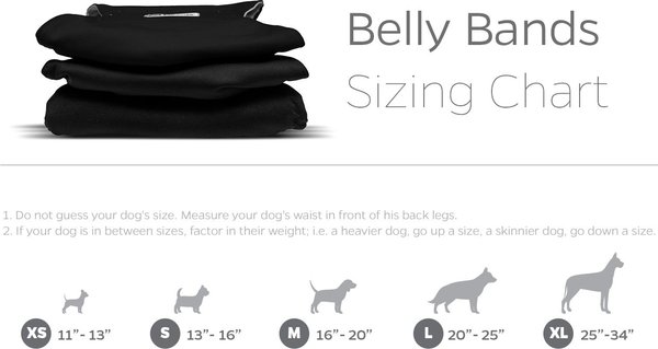 Show full view: Pet Parents Washable Belly Band Male Dog Diapers, Dog Wraps & Extendrs, Black, X-Small: 11 to 13-in waist, 3 count slide 6 of 10