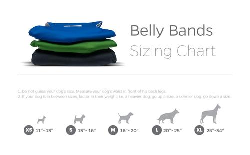 Show full view: Pet Parents Washable Belly Band Male Dog Diapers, Dog Wraps & Extendrs, Gentlemen, X-Large: 25 to 34-in waist, 3 count slide 6 of 10