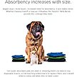 Show in main carousel: Pet Parents Washable Belly Band Male Dog Diapers, Dog Wraps & Extendrs, Gentlemen, X-Small: 11 to 13-in waist, 3 count slide 4 of 10