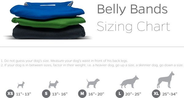 Show full view: Pet Parents Washable Belly Band Male Dog Diapers, Dog Wraps & Extendrs, Gentlemen, X-Small: 11 to 13-in waist, 3 count slide 6 of 10