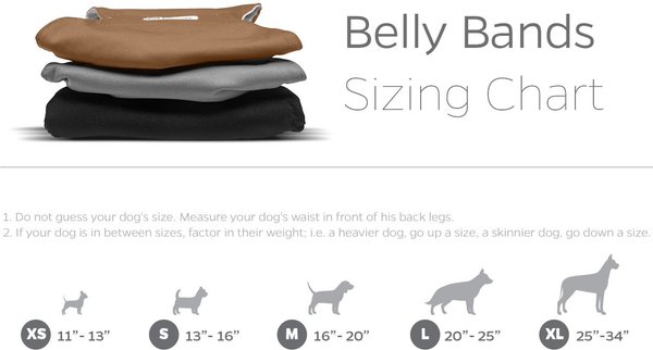 Show full view: Pet Parents Washable Belly Band Male Dog Diapers, Dog Wraps & Extendrs, Natural, Medium: 16 to 20-in waist, 3 count slide 6 of 10