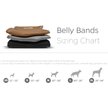 Show in main carousel: Pet Parents Washable Belly Band Male Dog Diapers, Dog Wraps & Extendrs, Natural, Medium: 16 to 20-in waist, 3 count slide 6 of 10