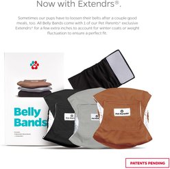 Pet Parents Washable Belly Band Male Dog Diapers, Dog Wraps & Extendrs, Natural, Small: 13 to 16-in waist, 3 count slide 2 of 8