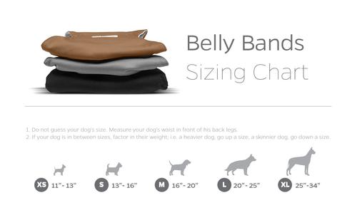 Show full view: Pet Parents Washable Belly Band Male Dog Diapers, Dog Wraps & Extendrs, Natural, Small: 13 to 16-in waist, 3 count slide 6 of 10