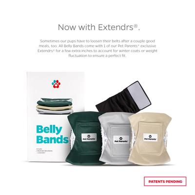 Show full view: Pet Parents Washable Belly Band Male Dog Diapers, Dog Wraps & Extendrs, Spruce, Large: 20 to 25-in waist, 3 count slide 2 of 11