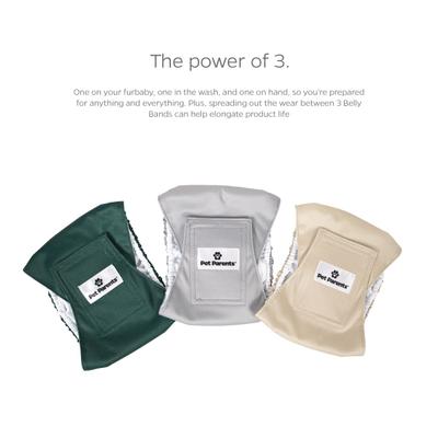 Show full view: Pet Parents Washable Belly Band Male Dog Diapers, Dog Wraps & Extendrs, Spruce, Large: 20 to 25-in waist, 3 count slide 9 of 11