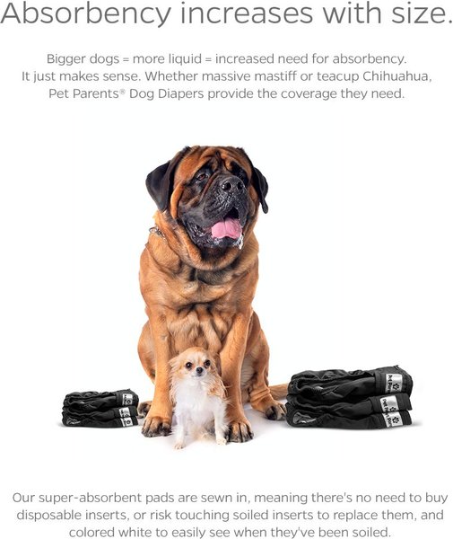 Show full view: Pet Parents Washable Male & Female Dog Diapers + Extendrs, Black, X-Small: 4 to 10-in waist, 3 count slide 4 of 10