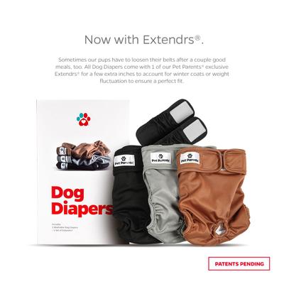 Show full view: Pet Parents Washable Male & Female Dog Diapers + Extendrs, Natural, Medium: 14 to 20-in waist, 3 count slide 2 of 10