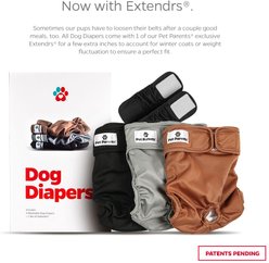 Pet Parents Washable Male & Female Dog Diapers + Extendrs, Natural, X-Small: 4 to 10-in waist, 3 count slide 2 of 8