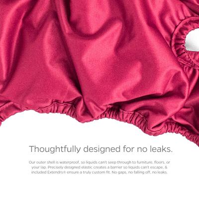 Show full view: Pet Parents Washable Male & Female Dog Diapers + Extendrs, Princess, Medium: 14 to 20-in waist, 3 count slide 8 of 10