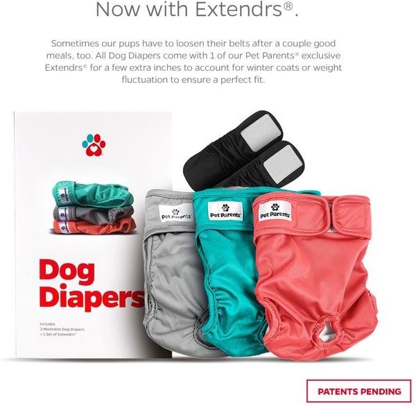 Show full view: Pet Parents Washable Male & Female Dog Diapers + Extendrs, Southern Belle, Large: 19 to 27-in waist, 3 count slide 2 of 10