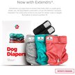 Show in main carousel: Pet Parents Washable Male & Female Dog Diapers + Extendrs, Southern Belle, Large: 19 to 27-in waist, 3 count slide 2 of 10