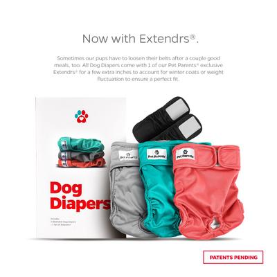 Show full view: Pet Parents Washable Male & Female Dog Diapers + Extendrs, Southern Belle, Large: 19 to 27-in waist, 3 count slide 2 of 10