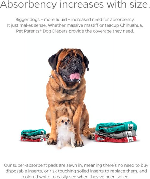 Show full view: Pet Parents Washable Male & Female Dog Diapers + Extendrs, Southern Belle, Large: 19 to 27-in waist, 3 count slide 4 of 10