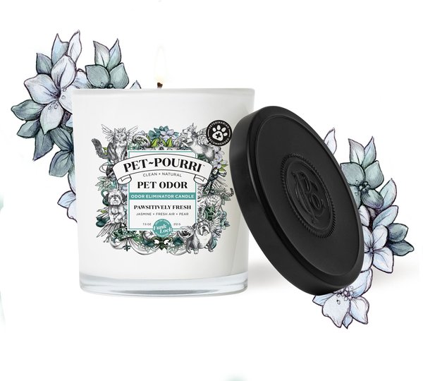 Show full view: Pet-Pourri Pawsitively Fresh Dog & Cat Odor Eliminator Candle, 7.5-oz jar slide 2 of 3