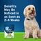 Show in main carousel: Pet Protect Allergy & Immune+ Supplement for Dogs, 60 count slide 7 of 12