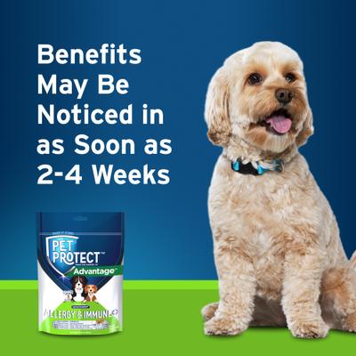Show full view: Pet Protect Allergy & Immune+ Supplement for Dogs, 60 count slide 7 of 12