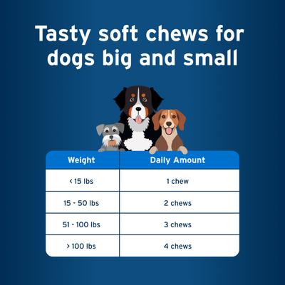 Show full view: Pet Protect DVM Daily Multivitamin Chicken Flavored Soft Chew Supplement for Dogs, 60 count slide 8 of 11