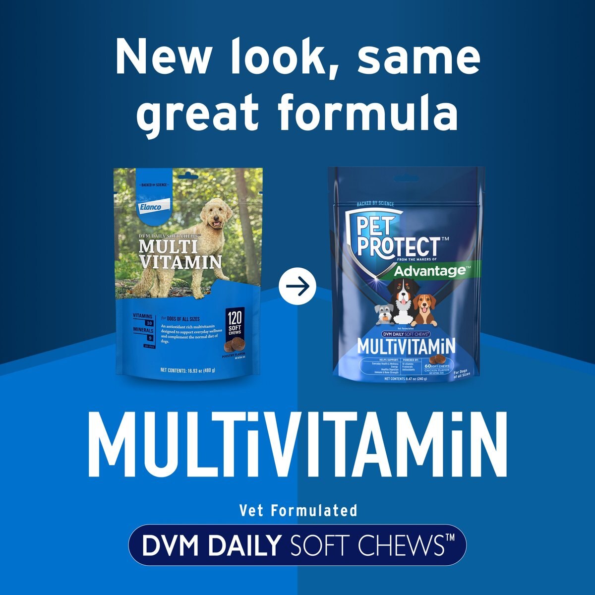 Pet Protect DVM Daily Multivitamin Chicken Flavored Soft Chew Supplement for Dogs
