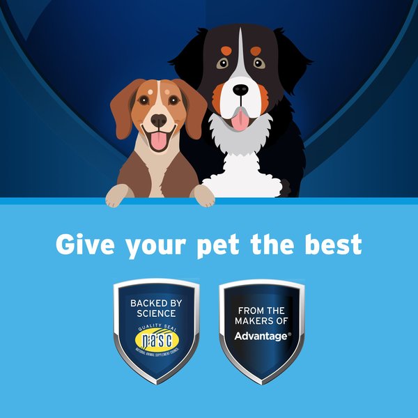 Show full view: Pet Protect Free Form Omega-3 Fish Oil Snip Tip Capsule Supplements for Medium & Large Dogs, 60 count slide 4 of 11