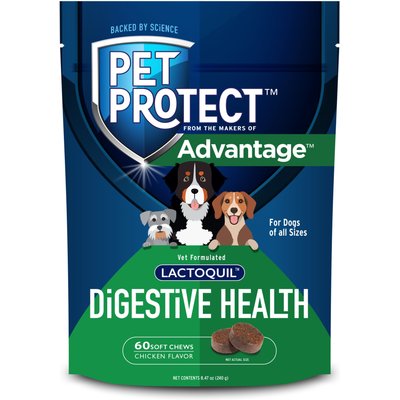 Pet Protect Pet Protect Vet-Formulated Lactoquil Digestive Health Probiotic Chicken Flavored Soft Chew Supplement for Dogs, 60 count