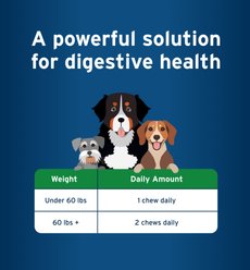 Pet Protect Lactoquil Digestive Health Probiotic Chicken Flavored Soft Chew Supplement for Dogs, 60 count slide 2 of 7
