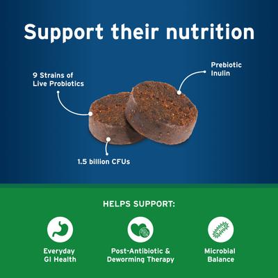 Show full view: Pet Protect Lactoquil Digestive Health Probiotic Chicken Flavored Soft Chew Supplement for Dogs, 60 count slide 5 of 8