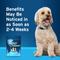 Show in main carousel: Pet Protect Skin Health Supplement for Dogs, 60 count slide 7 of 12