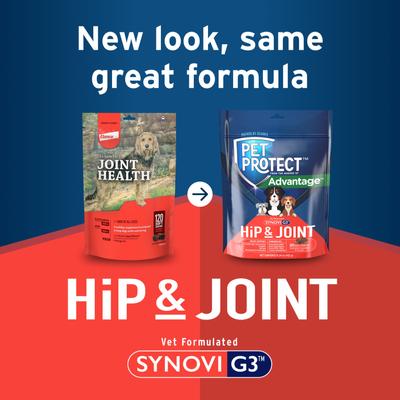 Show full view: Pet Protect Synovi G3 Hip & Joint Chicken Flavored Soft Chew Supplement with Glucosamine for Dogs, 240 count slide 4 of 12