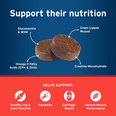 Show full view: Pet Protect Synovi G3 Hip & Joint Chicken Flavored Soft Chew Supplement with Glucosamine for Dogs, 240 count slide 6 of 12