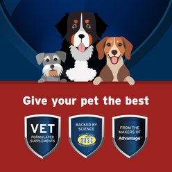 Pet Protect Synovi G4 Hip & Joint+ Chicken Flavored Soft Chew Supplement with Glucosamine for Dogs, 120 count slide 2 of 8