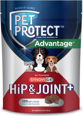 Show full view: Pet Protect Synovi G4 Hip & Joint+ Chicken Flavored Soft Chew Supplement with Glucosamine for Dogs, 240 count slide 1 of 11